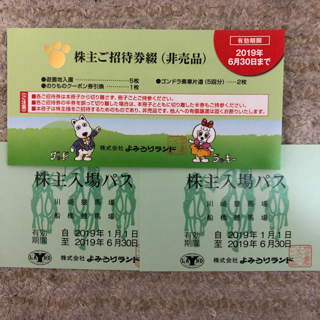 よみうりランド株主優待 チケットの施設利用券(遊園地/テーマパーク)の商品写真