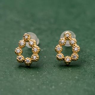 5300円相当 レスブリス DropFleurピアス(ピアス)