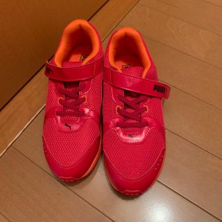 プーマ(PUMA)のプーマのスニーカー22センチ(スニーカー)