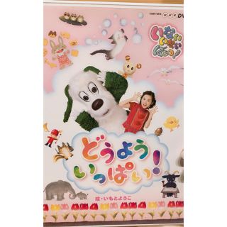 コロンビア(Columbia)のいないいないばぁっ！どうよういっぱい！DVD(キッズ/ファミリー)