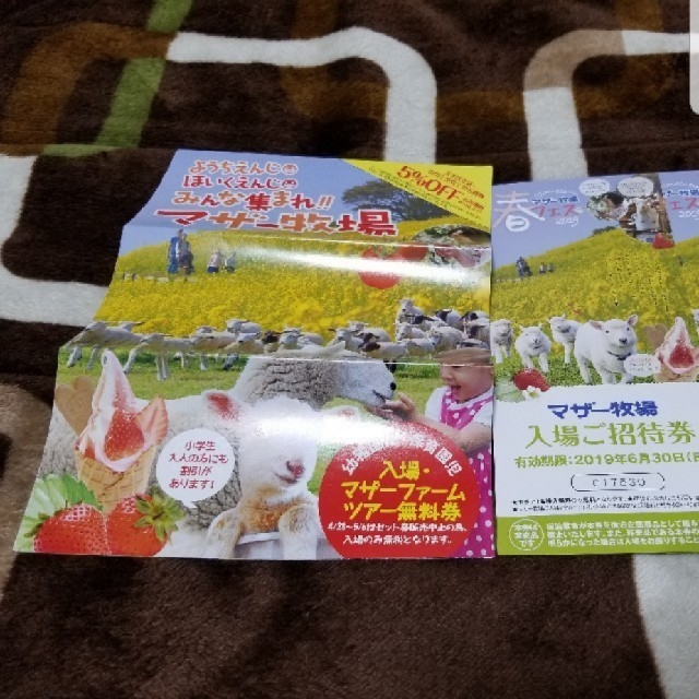 マザー牧場　招待券セット チケットの施設利用券(遊園地/テーマパーク)の商品写真