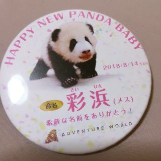 アドベンチャーワールド　パンダ　缶バッジB☆送料込(バッジ/ピンバッジ)