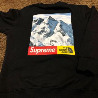 シュプリーム(Supreme)のSupreme×THE NORTH FACE しんのすけ様専用(その他)