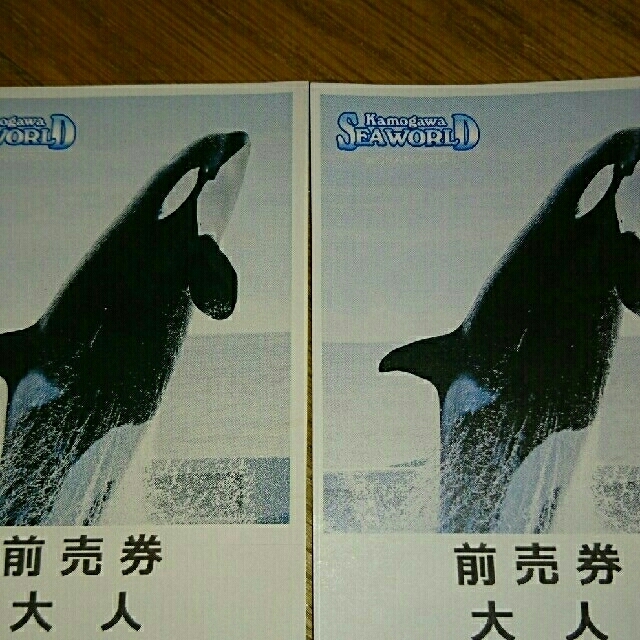 鴨川シーワールド大人２枚+割引券 チケットの施設利用券(水族館)の商品写真