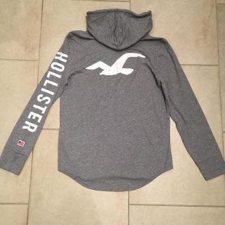 ホリスター(Hollister)の新品HOLLISTER ホリスター フーデッド グラフィック長袖Tシャツ (Tシャツ/カットソー(七分/長袖))