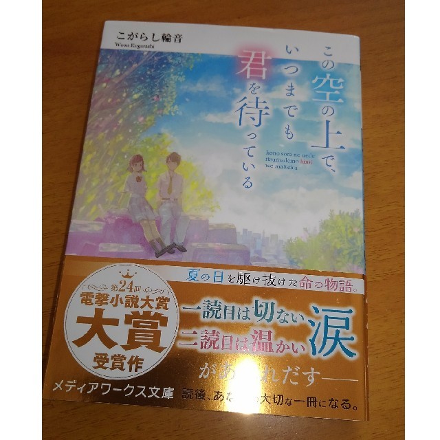 アスキー・メディアワークス(アスキーメディアワークス)のこの空の上でいつまでも君を待っている こがらし輪音 エンタメ/ホビーの本(文学/小説)の商品写真