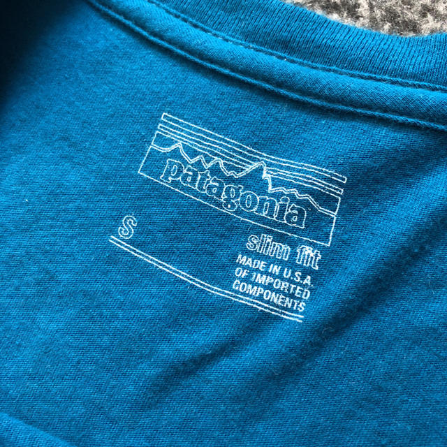 patagonia(パタゴニア)のパタゴニア Ｔシャツ Ｓ slim fit メンズのトップス(Tシャツ/カットソー(半袖/袖なし))の商品写真