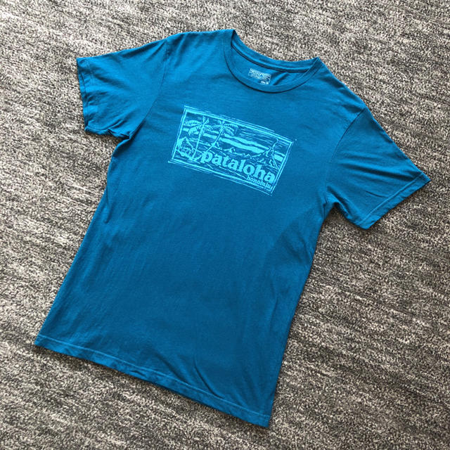 patagonia(パタゴニア)のパタゴニア Ｔシャツ Ｓ slim fit メンズのトップス(Tシャツ/カットソー(半袖/袖なし))の商品写真