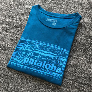 パタゴニア(patagonia)のパタゴニア Ｔシャツ Ｓ slim fit(Tシャツ/カットソー(半袖/袖なし))