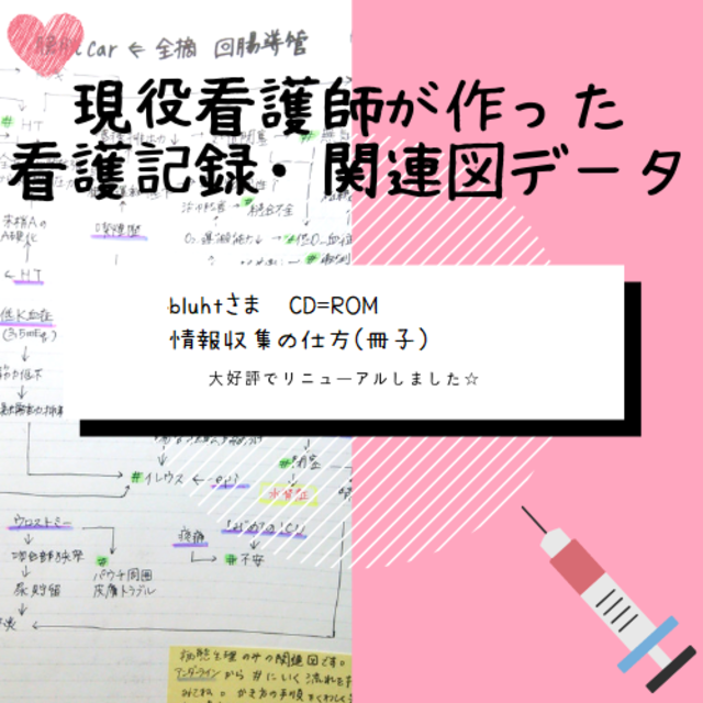 看護計画　関連図　看護記録　アセスメント　看護実習 エンタメ/ホビーの本(健康/医学)の商品写真