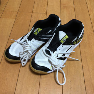 ミズノ(MIZUNO)の24.0☆ミズノ☆ジュニアバレーボールシューズ(バレーボール)