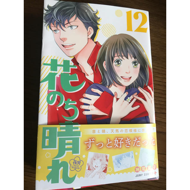 花のち晴れ 12巻 エンタメ/ホビーの漫画(少女漫画)の商品写真