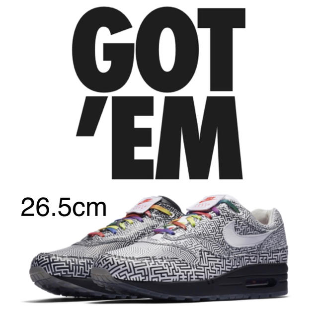 メンズ26.5cm NIKE AIR MAX 1 ON AIR TOKYO MAZE