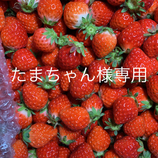 たまちゃん様専用●小粒苺2kg●さがほのか●クール送料込 食品/飲料/酒の食品(フルーツ)の商品写真