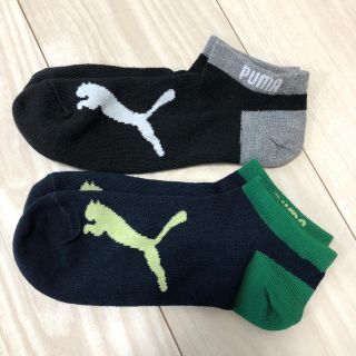 プーマ(PUMA)のプーマ キッズソックス(靴下/タイツ)