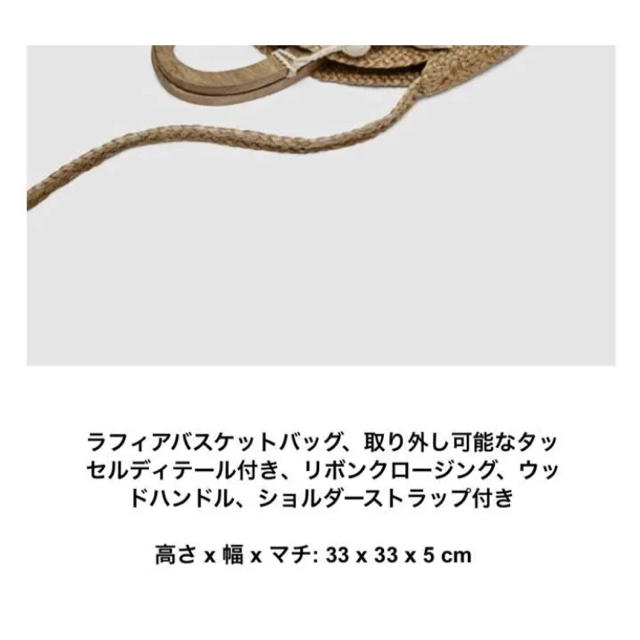 ZARA(ザラ)のZARA ラフィア カゴ バッグ 美品 ザラ レディースのバッグ(かごバッグ/ストローバッグ)の商品写真