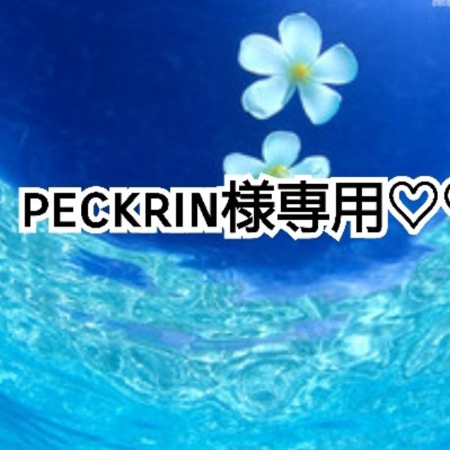 peckrin様専用♡♡(差額不足分) ハンドメイドのペット(ペット服/アクセサリー)の商品写真