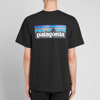 パタゴニア(patagonia)のSサイズ　パタゴニア tシャツ ロゴt P-6ロゴ レスポンシビリティー(Tシャツ/カットソー(半袖/袖なし))