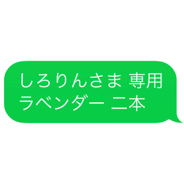 しろりんさま 専用 ラベンダー 二本