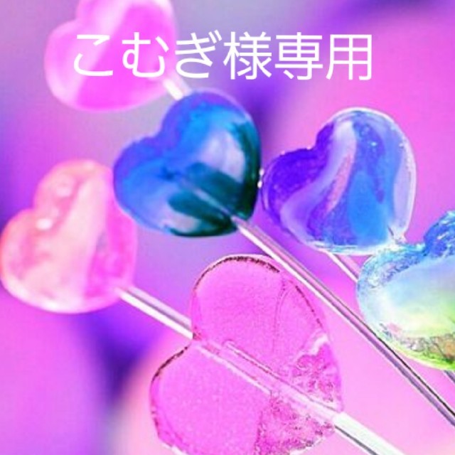 💛こむぎ様専用💛 食品/飲料/酒の食品(菓子/デザート)の商品写真