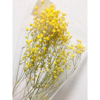 【新品】かすみ草 イエロー ドライフラワー(ドライフラワー)