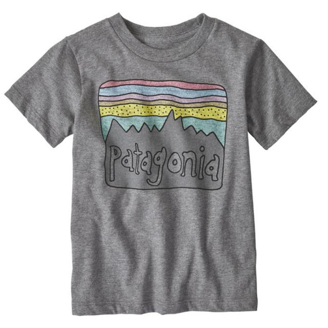 patagonia(パタゴニア)のパタゴニア☆Tシャツ 3T キッズ/ベビー/マタニティのキッズ服男の子用(90cm~)(Tシャツ/カットソー)の商品写真