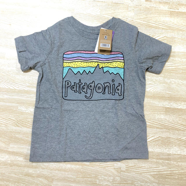 patagonia(パタゴニア)のパタゴニア☆Tシャツ 3T キッズ/ベビー/マタニティのキッズ服男の子用(90cm~)(Tシャツ/カットソー)の商品写真