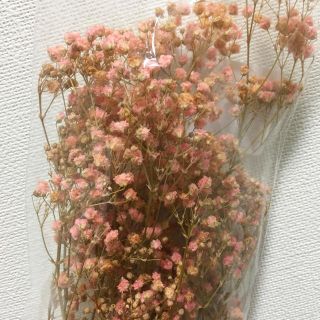 【新品】かすみ草 ピンク ドライフラワー(ドライフラワー)