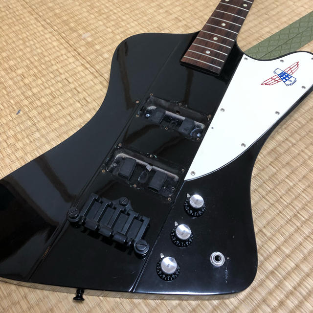 Epiphone(エピフォン)の【ジャンク/おまけつき】THUNDERBIRD 楽器のベース(エレキベース)の商品写真