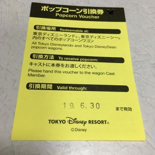 ディズニー(Disney)のYSY♡♡様専用(フード/ドリンク券)