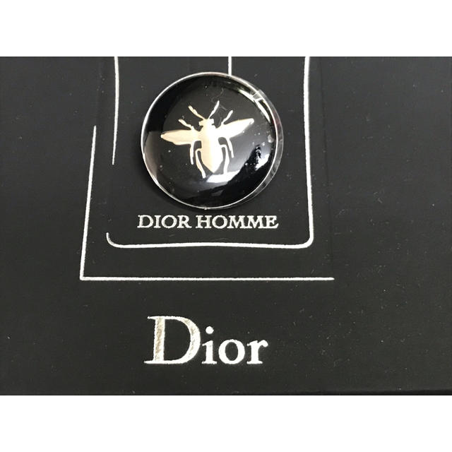 DIOR HOMME(ディオールオム)のディオールオム 新品 ラペルピン ピン メンズのファッション小物(ネクタイピン)の商品写真