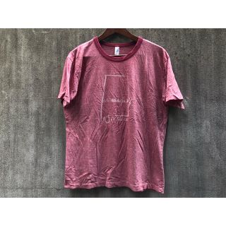 アメリカンアパレル(American Apparel)の✨VintageTshirt"アメアパLサイズ"✨(Tシャツ/カットソー(半袖/袖なし))