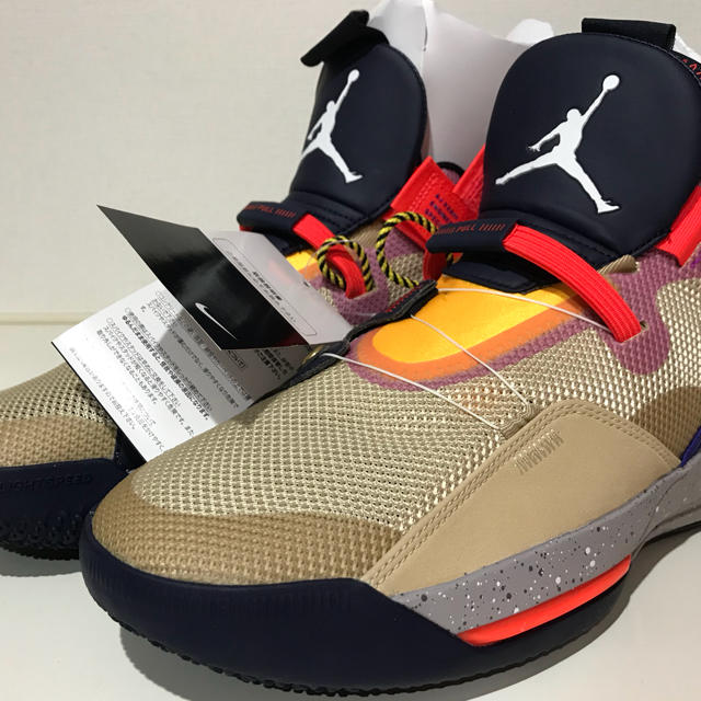 NIKE AIR JORDAN 33 PF acg US8.5 ジョーダン