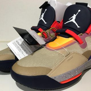 ナイキ(NIKE)のNIKE AIR JORDAN 33 PF acg US8.5 ジョーダン(スニーカー)