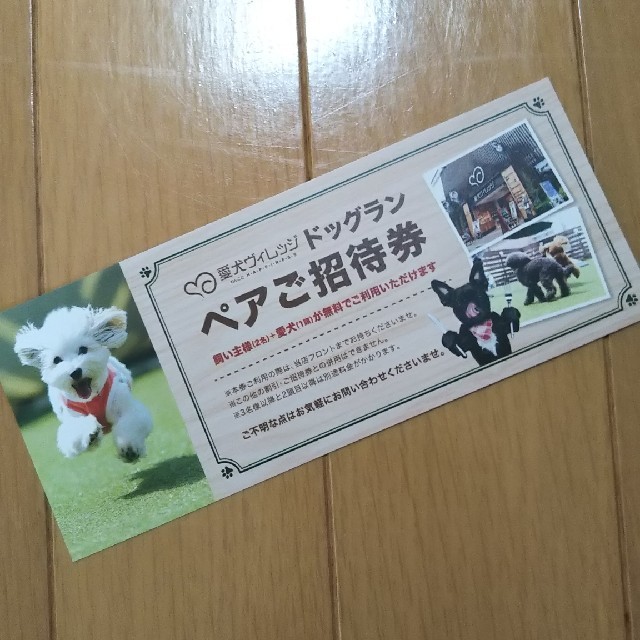 愛犬ヴィレッジ★ドッグランペアチケット チケットの優待券/割引券(その他)の商品写真