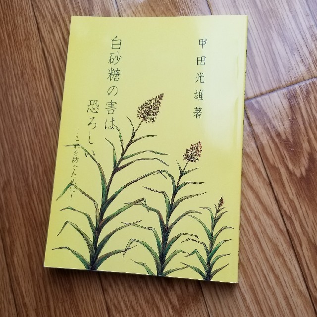 白砂糖の害は恐ろしい エンタメ/ホビーの本(住まい/暮らし/子育て)の商品写真