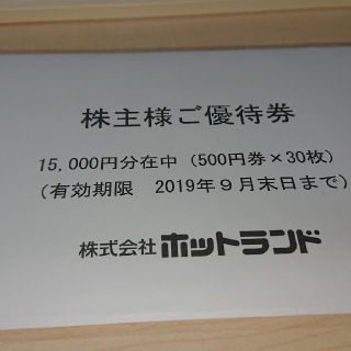 ホットランドの株主優待券15000円分 築地銀だこ(フード/ドリンク券)