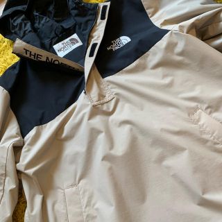 ザノースフェイス(THE NORTH FACE)のTHE NORTH Face プルオーバー 日本未入荷(パーカー)