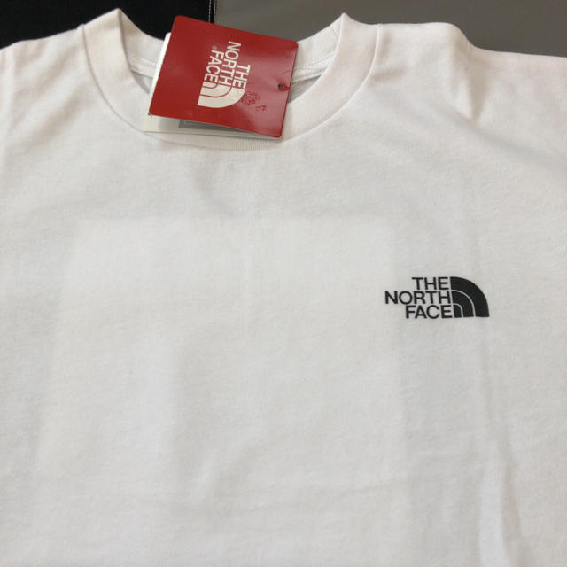 THE NORTH FACE(ザノースフェイス)の★the north face ノースフェイス スクエア デザートTシャツ メンズのトップス(Tシャツ/カットソー(半袖/袖なし))の商品写真