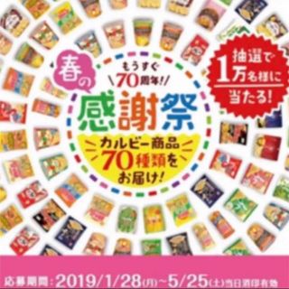 カルビー(カルビー)のカルビー 50点 5口 オマケ付き(その他)