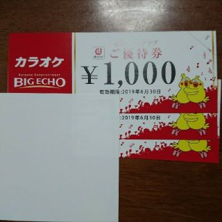 カラオケビックエコー3000円分(その他)