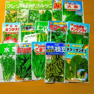 【80種類】野菜の種、ハーブの種、花の種　自分の欲しい種類を選んで購入！　(野菜)