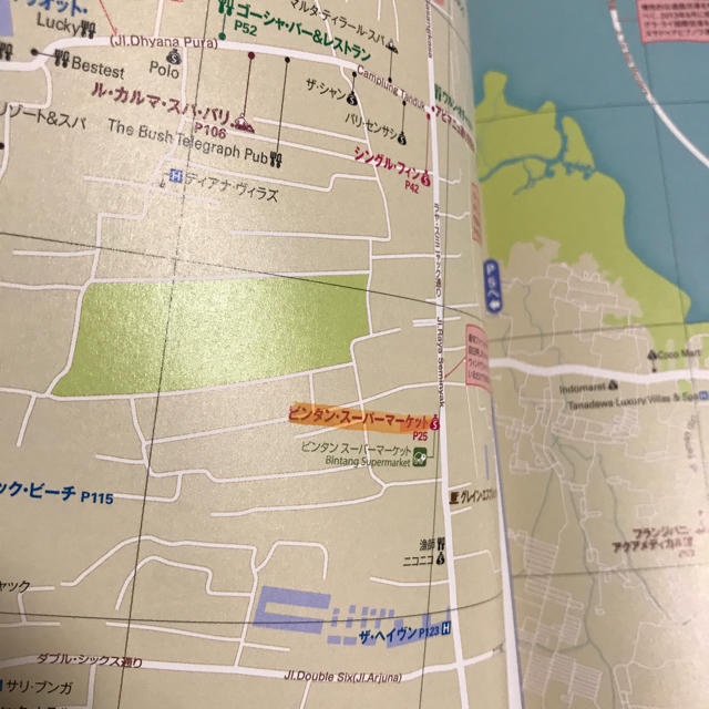 バリ島 ガイドブック エンタメ/ホビーの本(地図/旅行ガイド)の商品写真