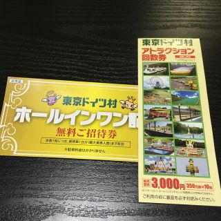 ドイツ村入園招待券・アトラクション回数券(遊園地/テーマパーク)