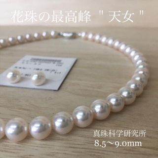 chicolita様専用 天女 あこや真珠8.5〜9.0mm ネックレス ペア珠(ネックレス)