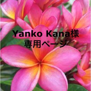 Yanko Kana様 専用ページ(トリートメント)