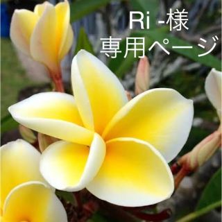 Ri -様　専用ページ(トリートメント)