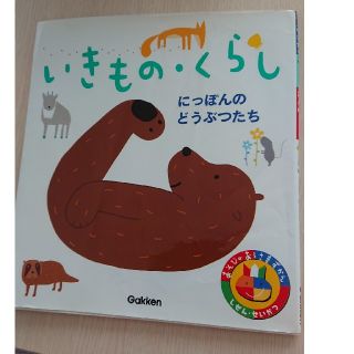 ガッケン(学研)の「いきもの・くらし」あそびのおうさまずかん(絵本/児童書)