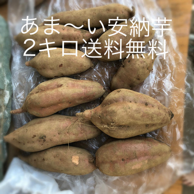 安納芋ー3キロ送料無料 食品/飲料/酒の食品(フルーツ)の商品写真