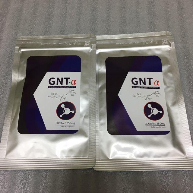 超格安一点 GNT-α ２袋 プロテイン